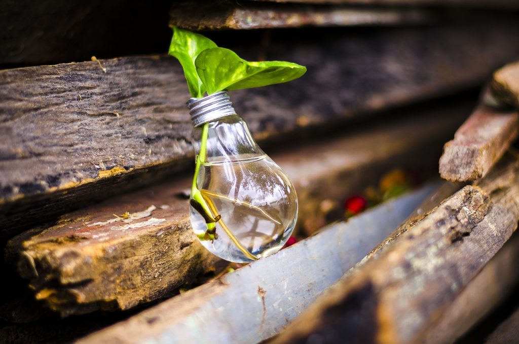 Recycling sprouting out of a light bulb